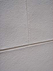 christchurch - 3900.jpg